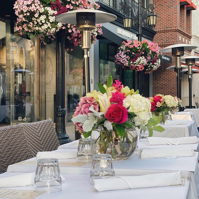 208 Rodeo | Beverly Hills Restaurant | Rodeo Drive