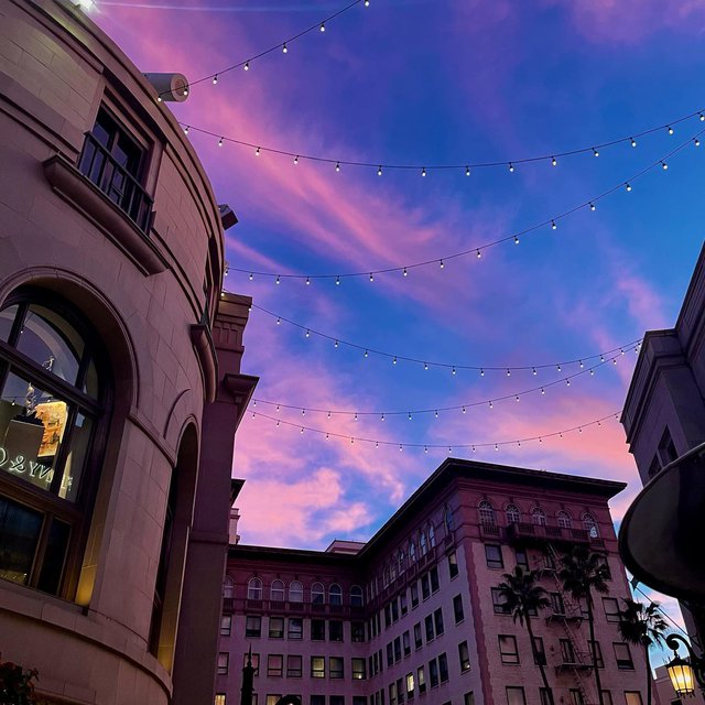 208 Rodeo | Beverly Hills Restaurant | Rodeo Drive