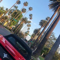 208 Rodeo | Breakfast, Lunch, Dinner | Beverly Hills Restaurant | Rodeo ...